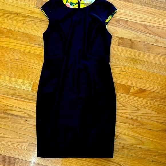 Ted Baker Dress, size 4 Europe, size 10/12 US. - Picture 1 of 2
